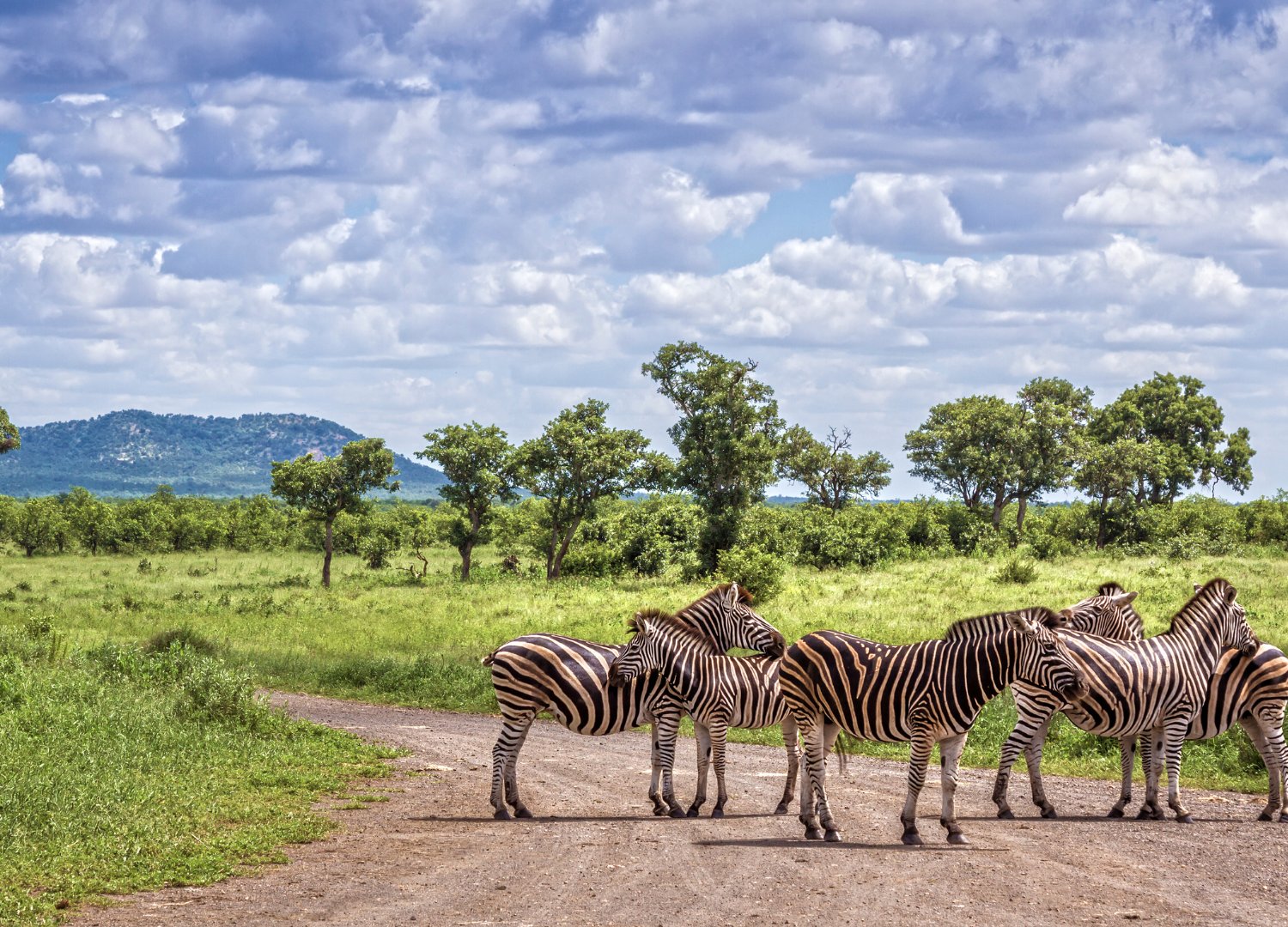 Joanesburgo: África do Sul Imprescindível