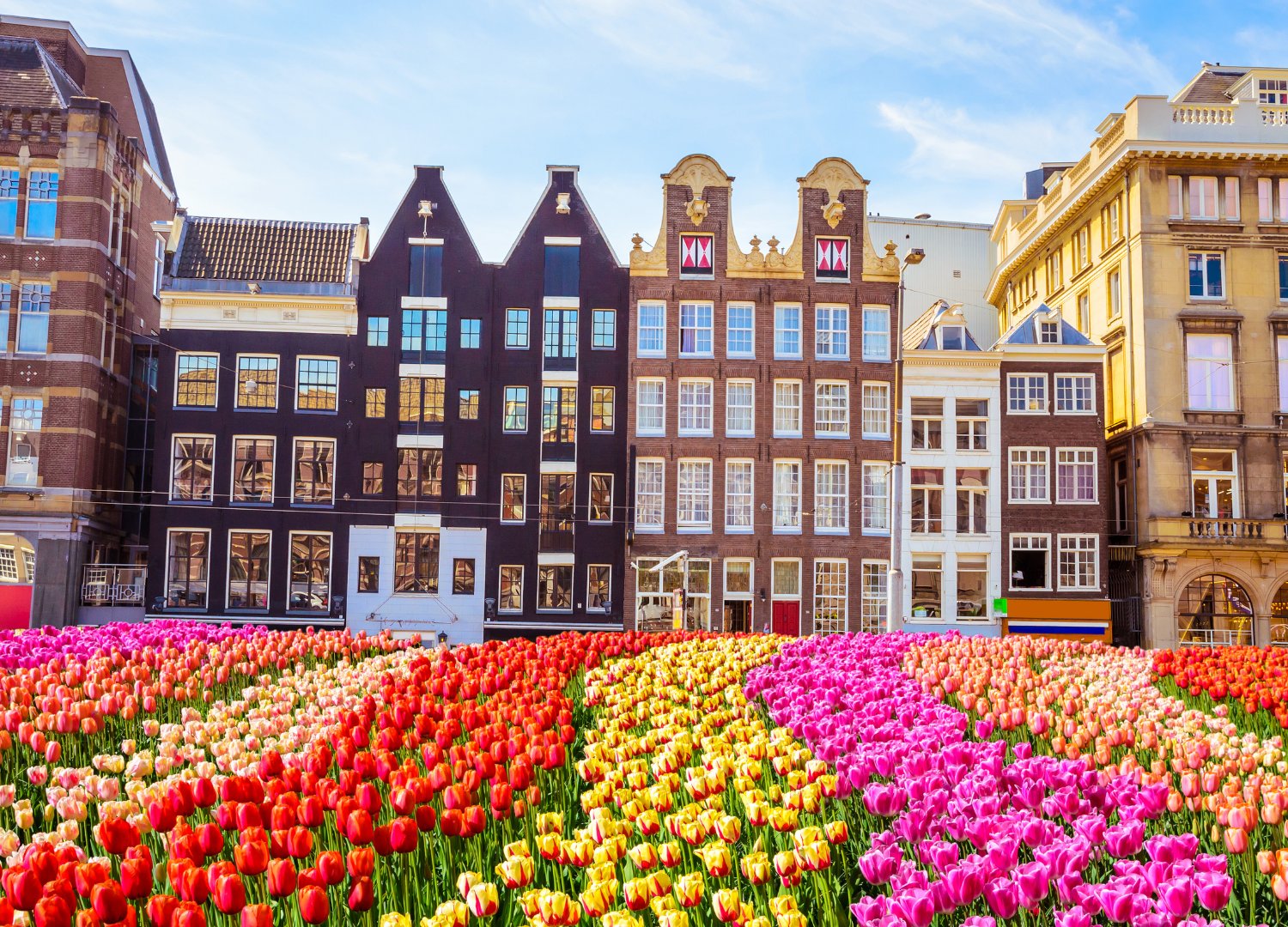 Amsterdã: Amsterdã e Alemanha