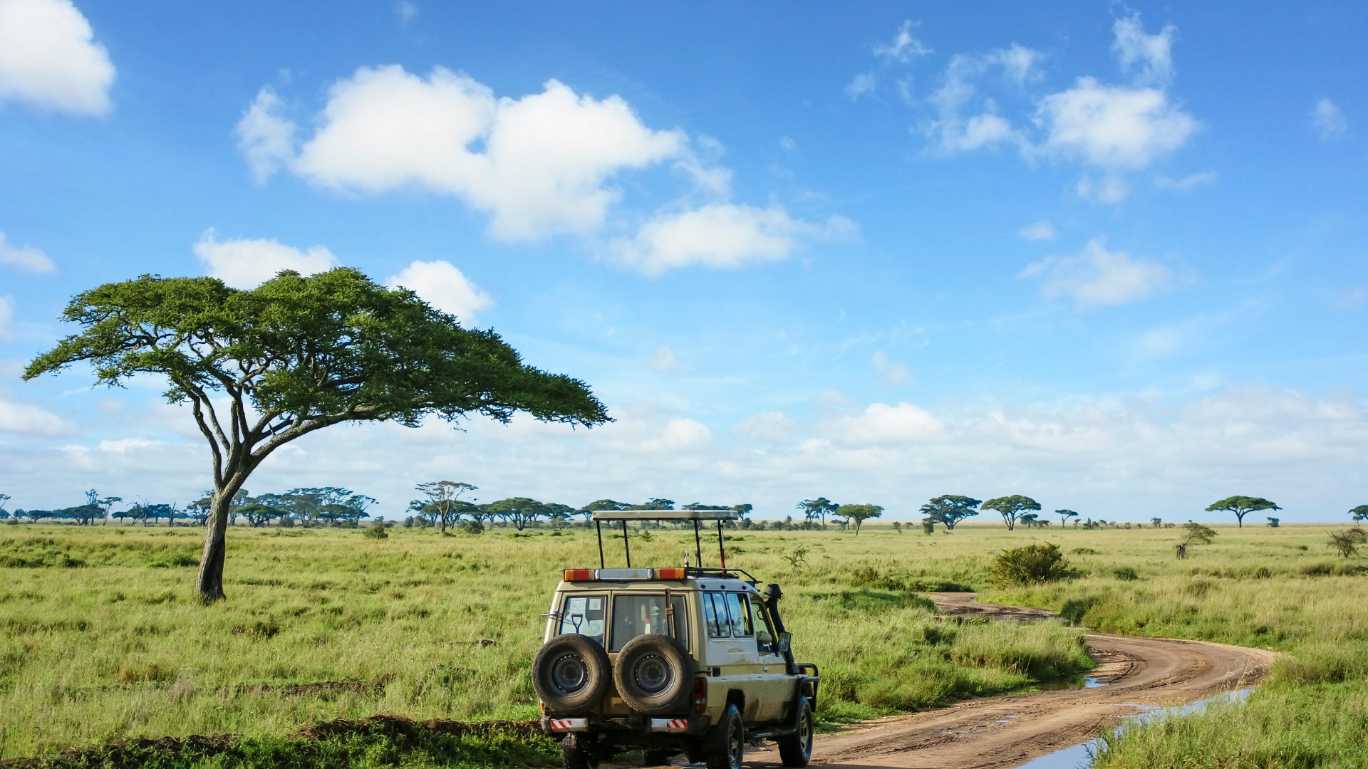 ARUSHA: MEMÓRIAS DA TANZANIA
