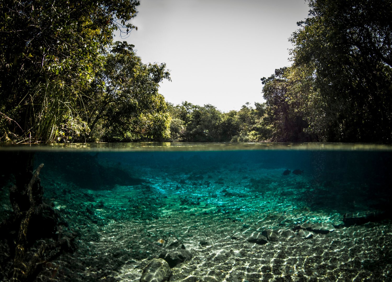 BONITO: Bonito Experiência com Passeios + 2° Aéreo GRÁTIS