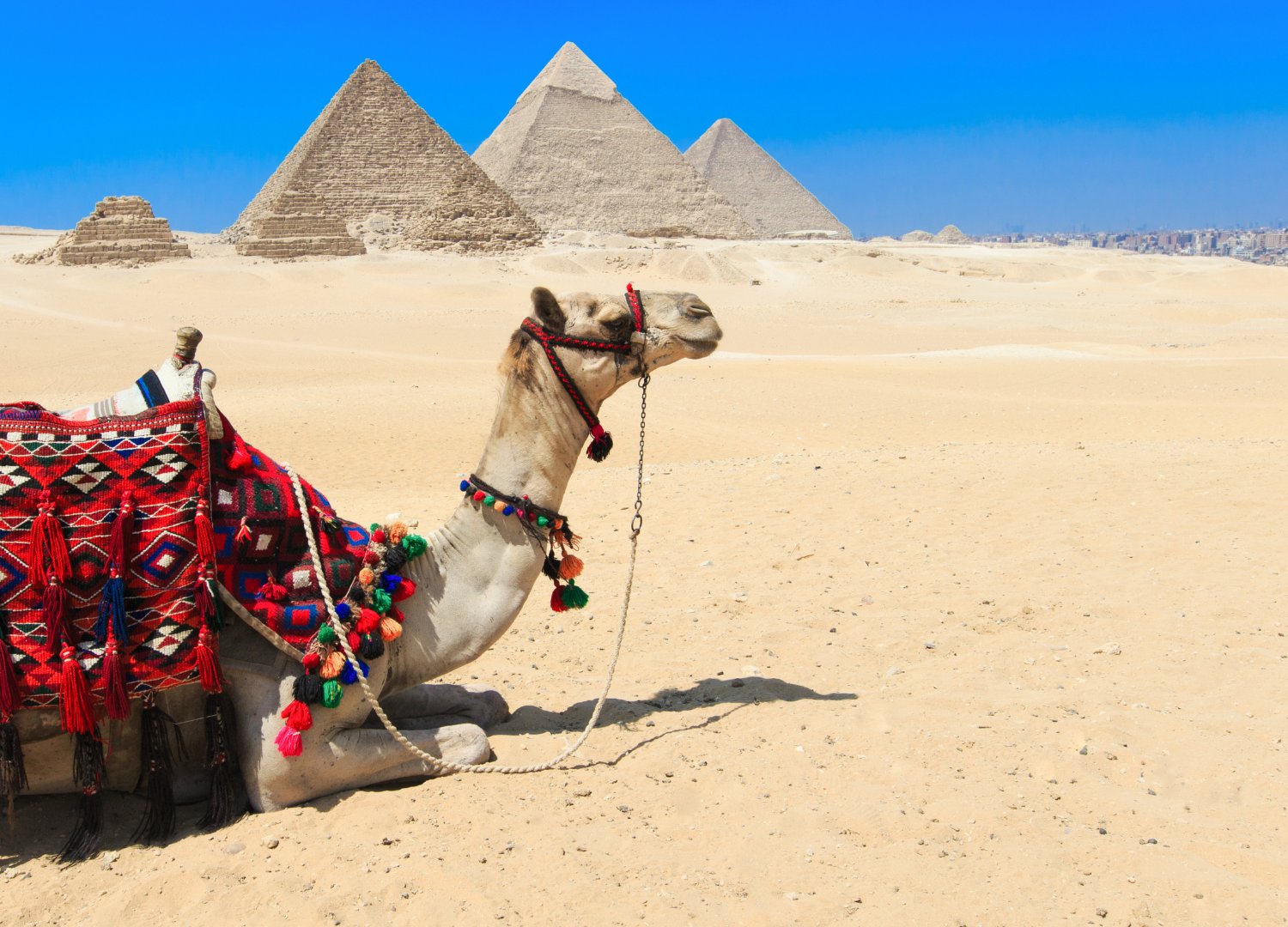 Cairo: Oferta 2x1 - Egito com Cruzeiro pelo Rio Nilo I - 8 dias / 7 noites