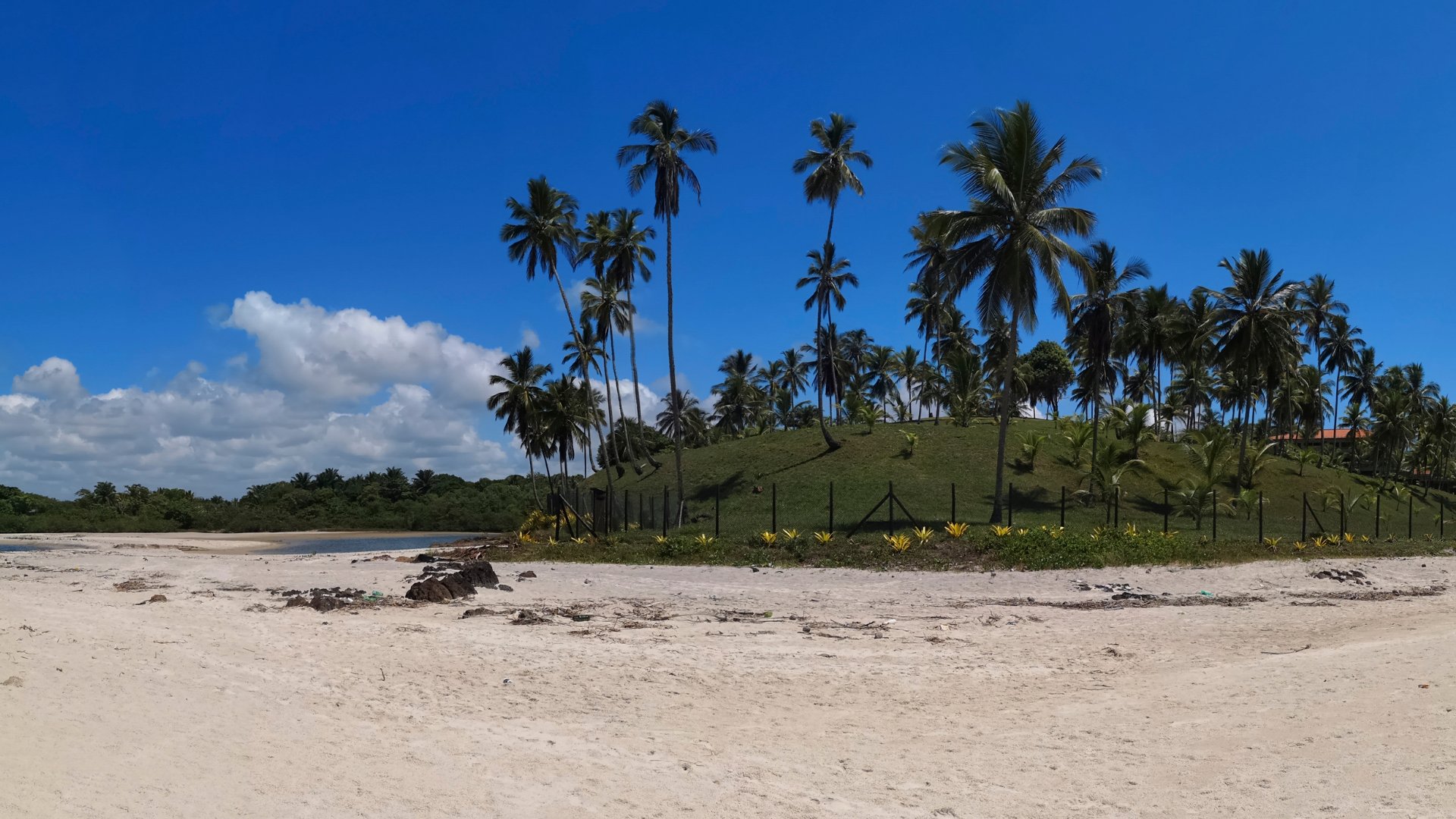 Ilhéus: Ilhéus com Transfer & City Tour Histórico
