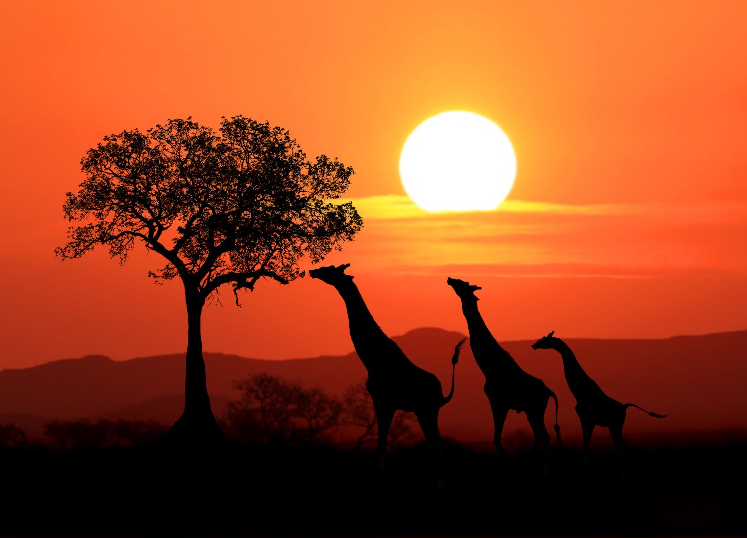 JOANESBURGO: Descobrindo a África do Sul