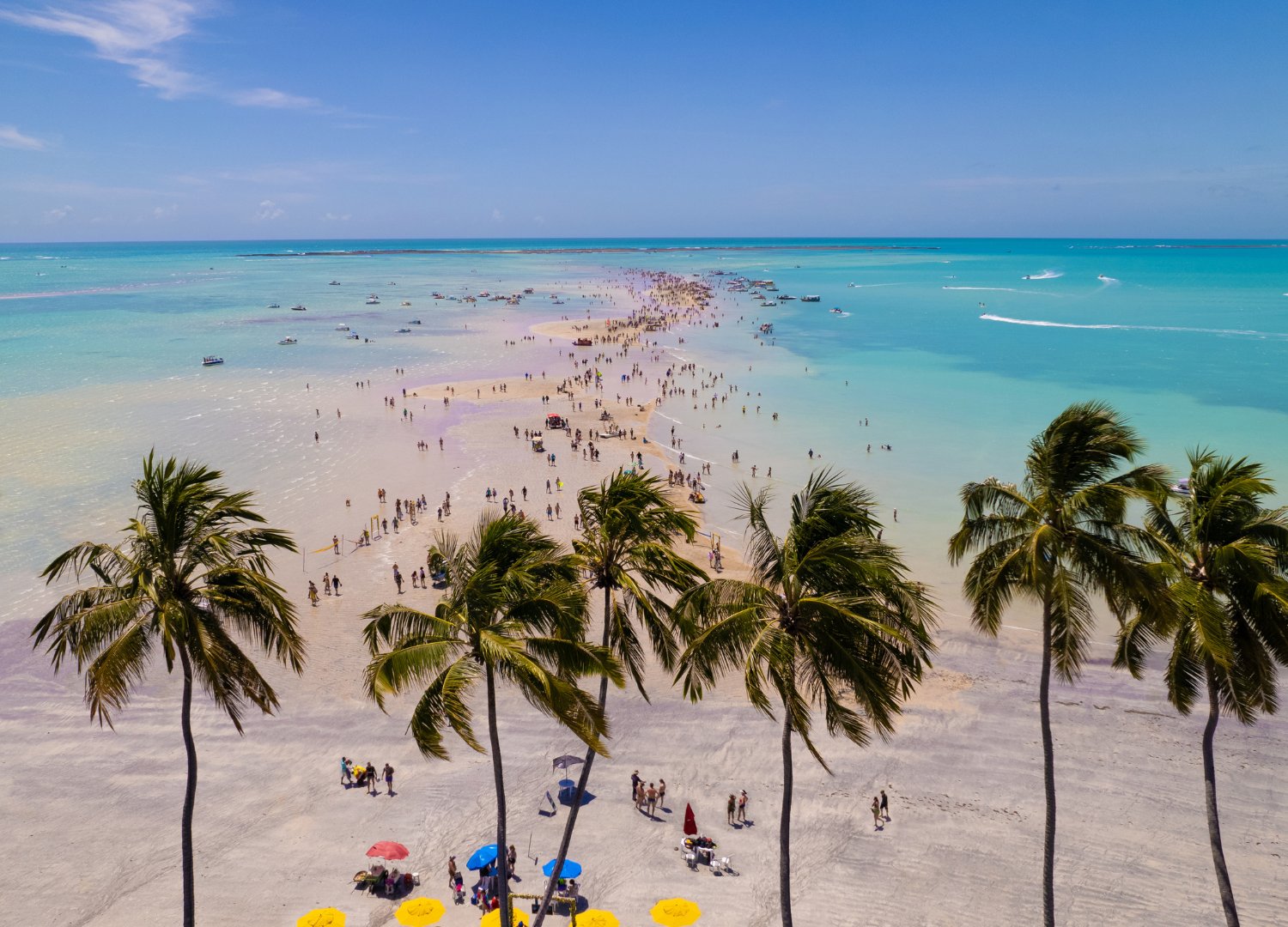 Maceió: Maceió com Praia do Gunga + Maragogi + Roda Gigante