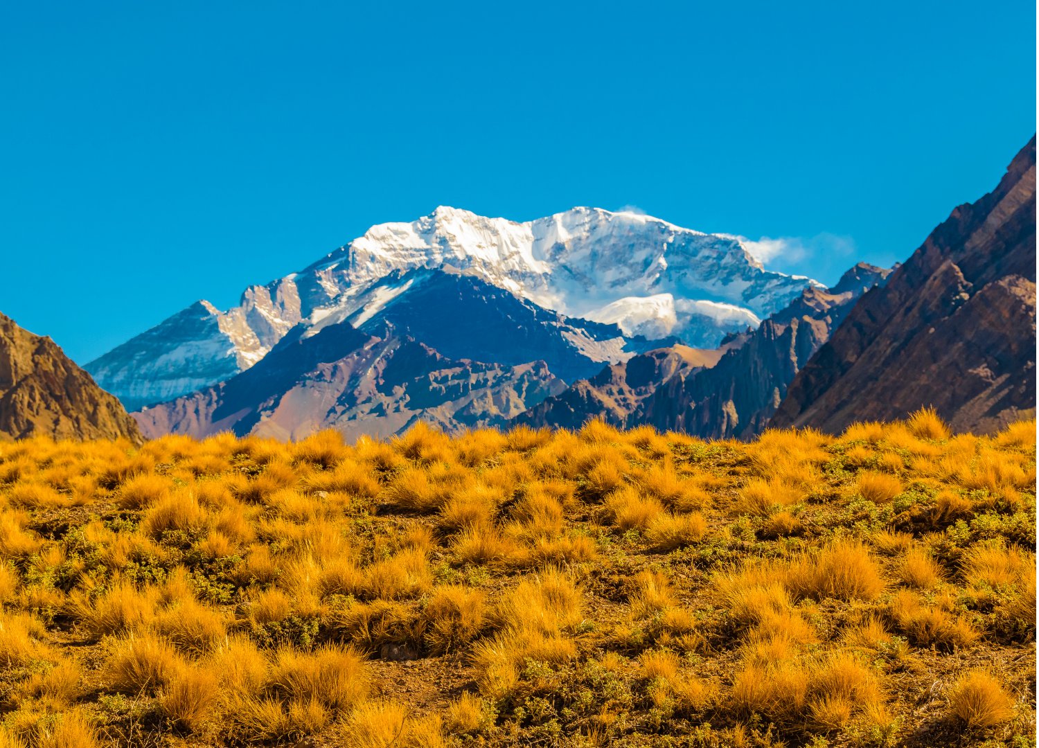 Mendoza: Mendoza - Básico