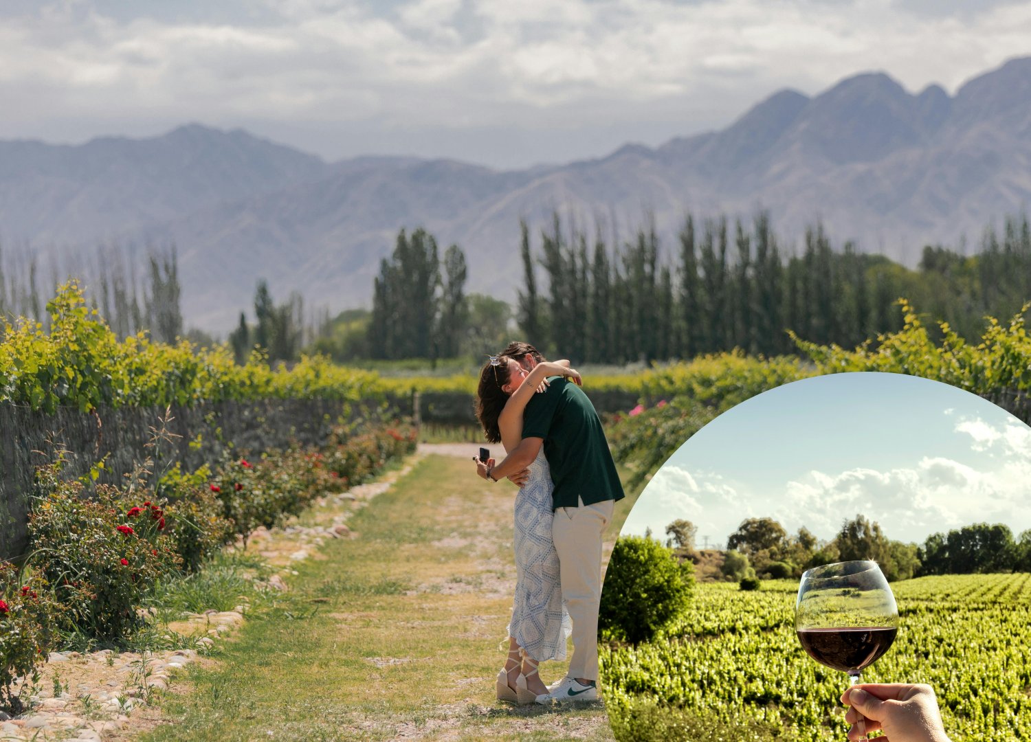 Mendoza: Mendoza Classica - City tour + Vinícolas e Olivais