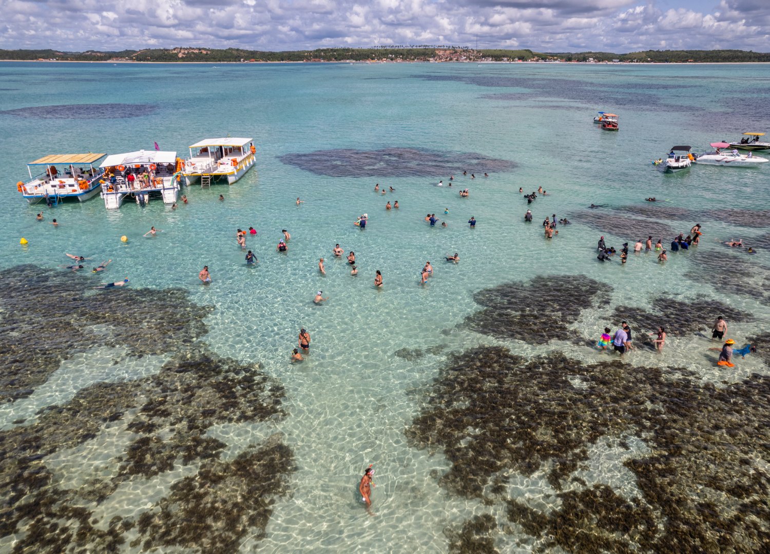 Recife: Porto de Galinhas com City Tour & Praia de Carneiros + Maragogi + Cabo