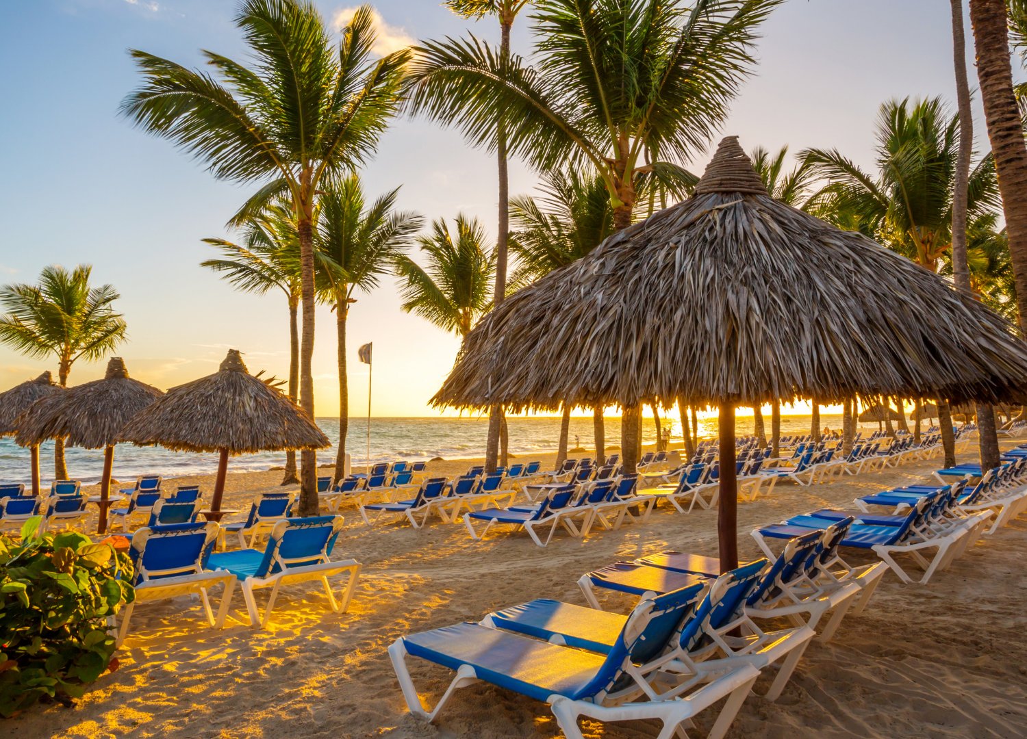 PUNTA CANA (PUJ): PUNTA CANA - Transfer grátis