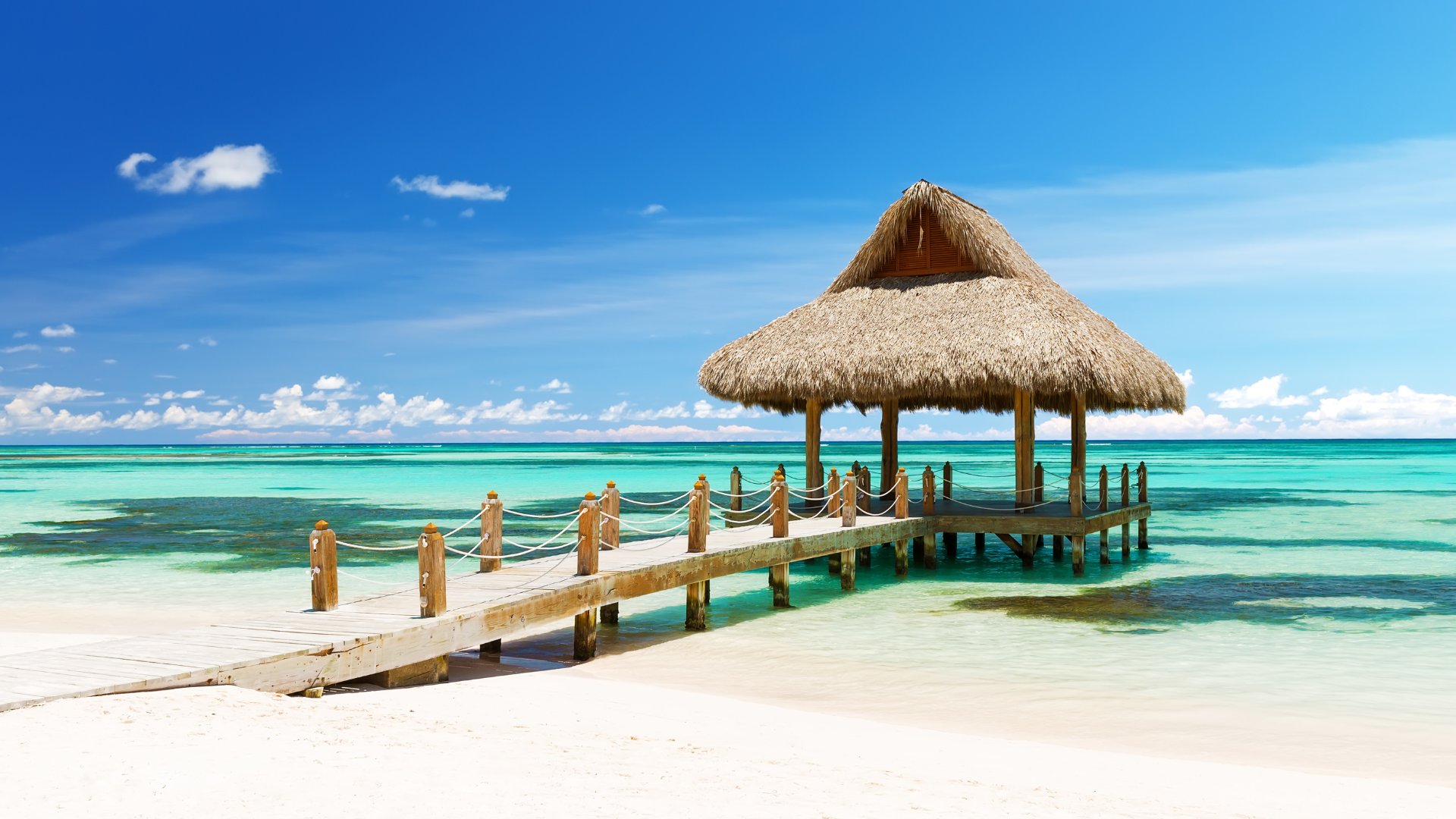 Punta Cana: PUNTA CANA com SWIM ADVENTURE PROMO (GOLFINHOS)