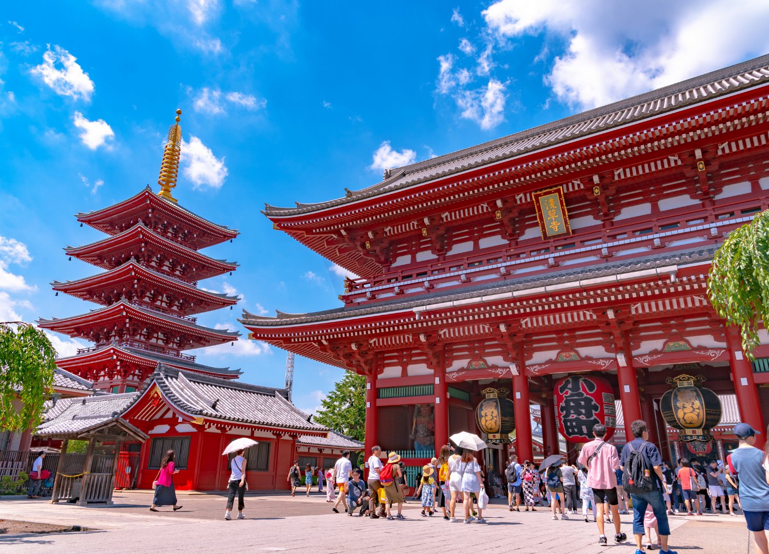 Tóquio: Tóquio, Hakone e Monte Fuji