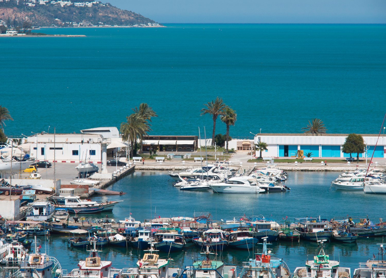 Tunis: Grand Tour Tunísia Premium 